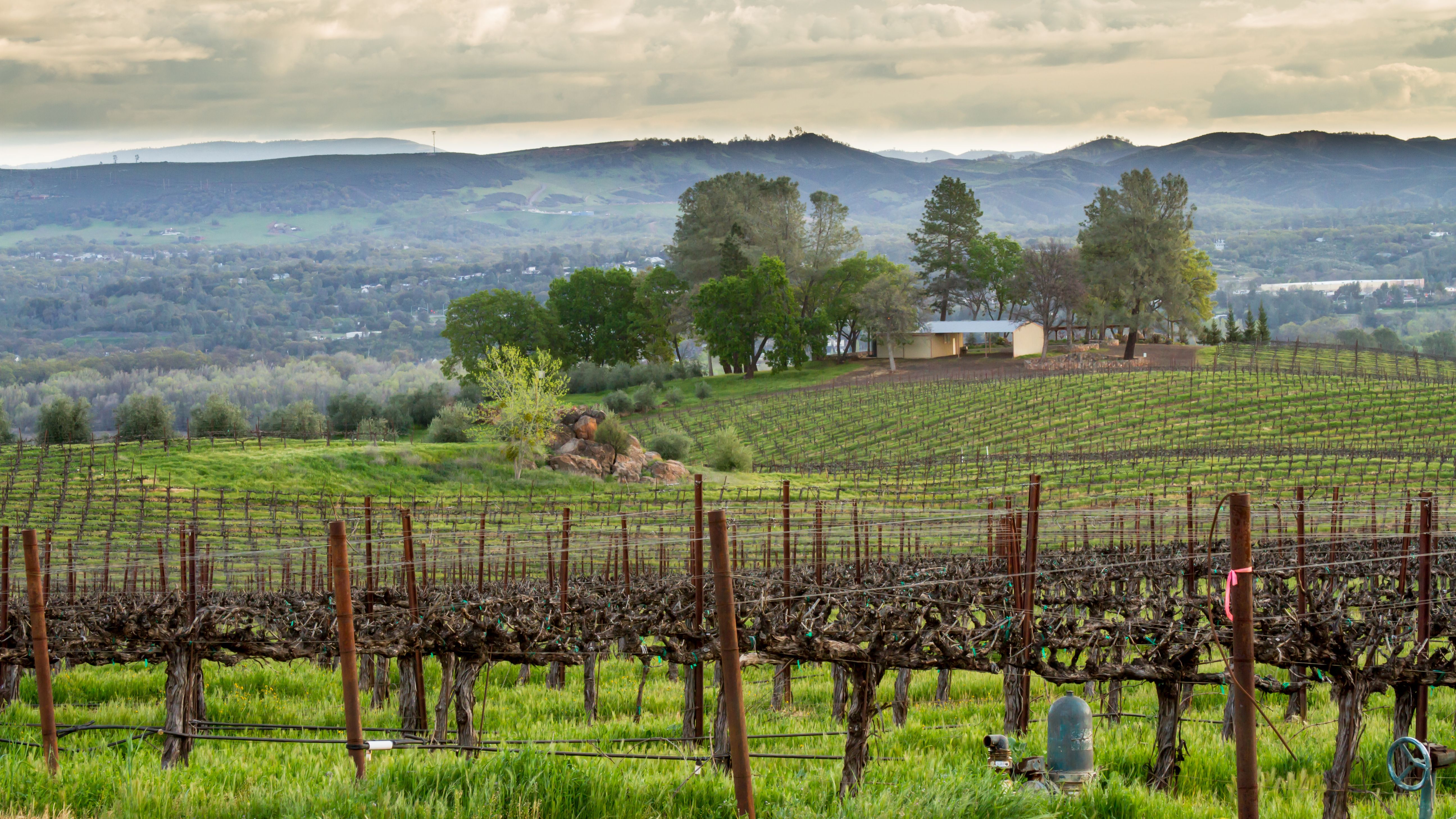 A Local’s Guide to Deck-Friendly Landscaping in Lake County