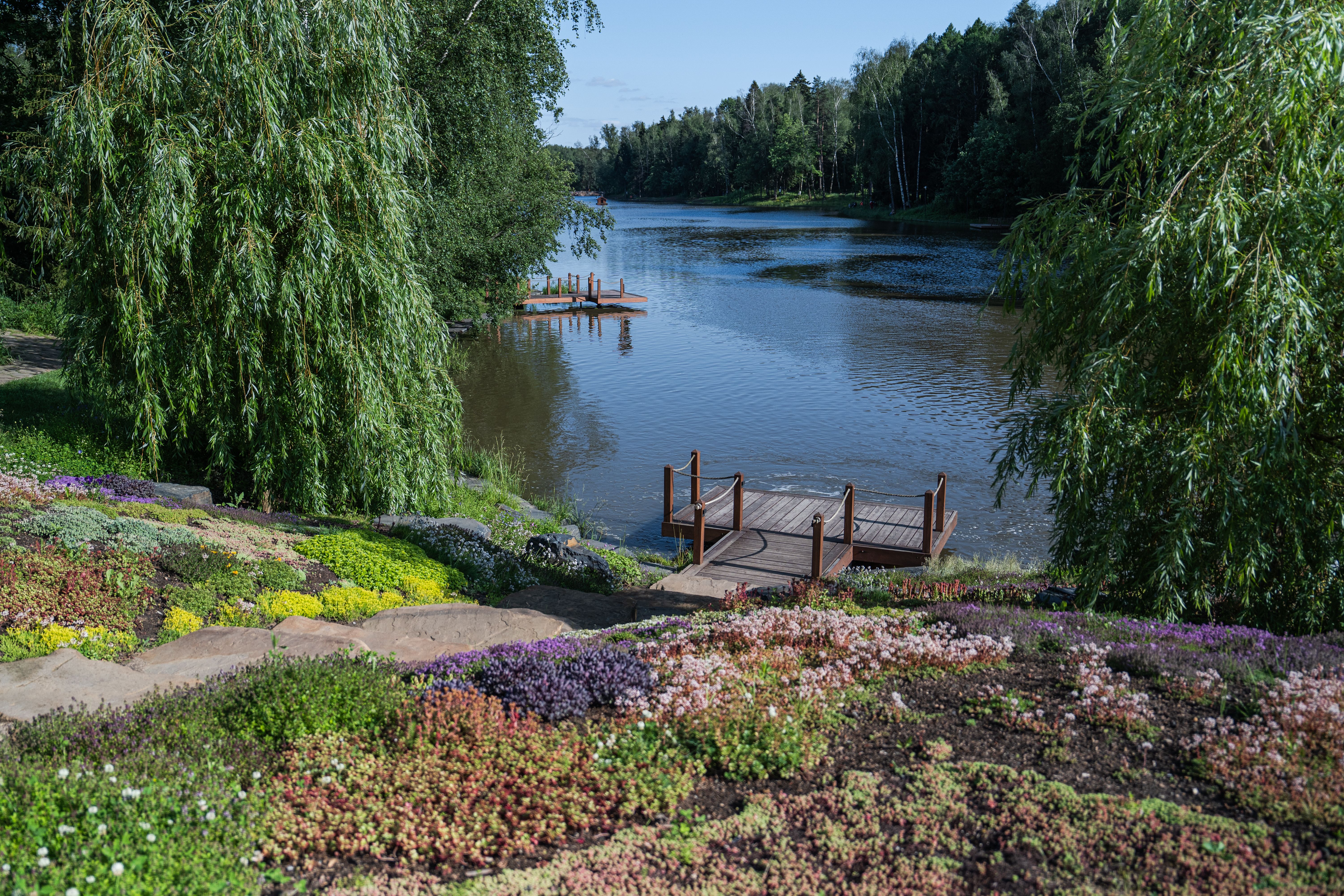 Case Study: Transforming a Lake County Backyard into an Outdoor Oasis