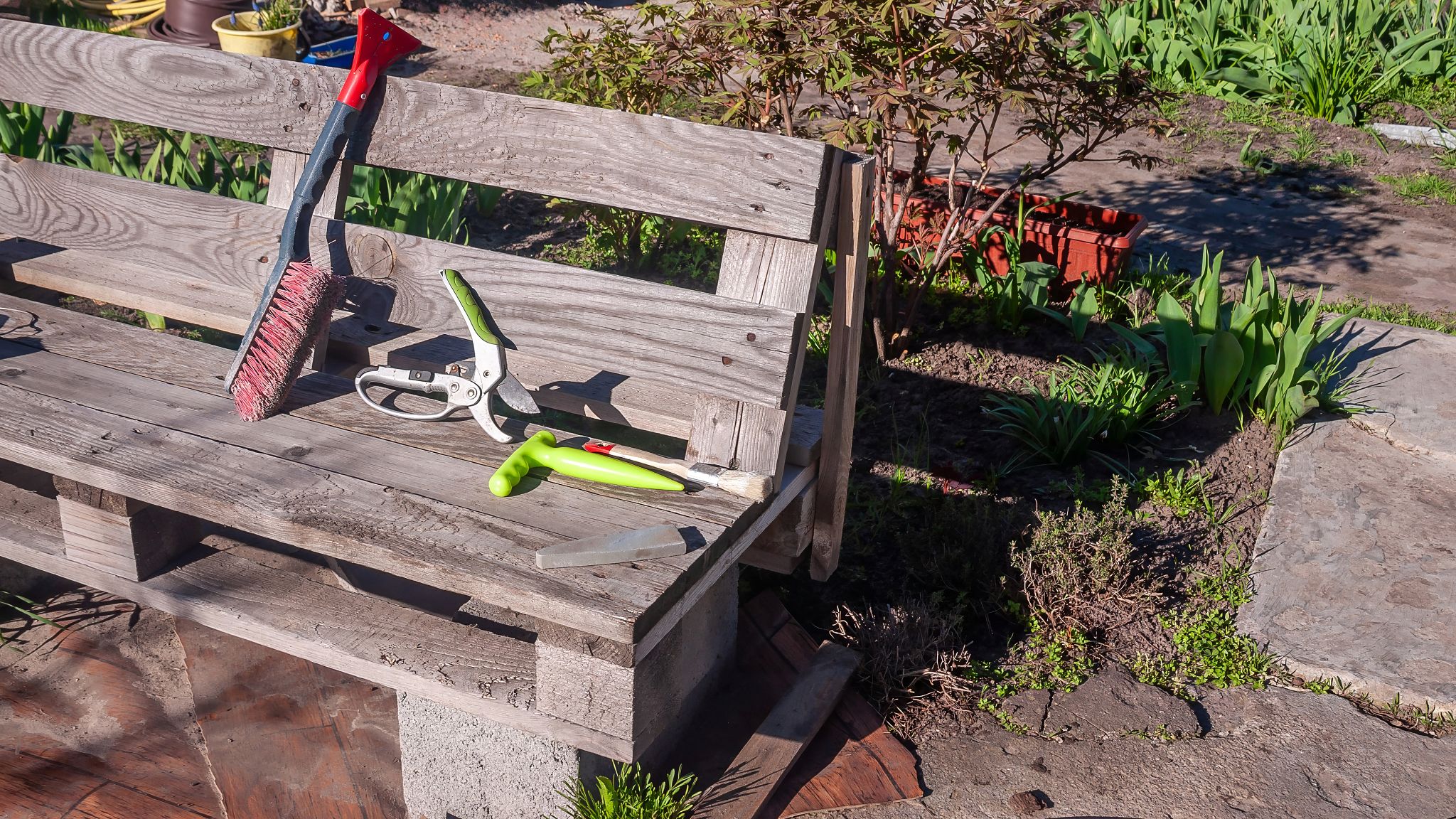 backyard transformation