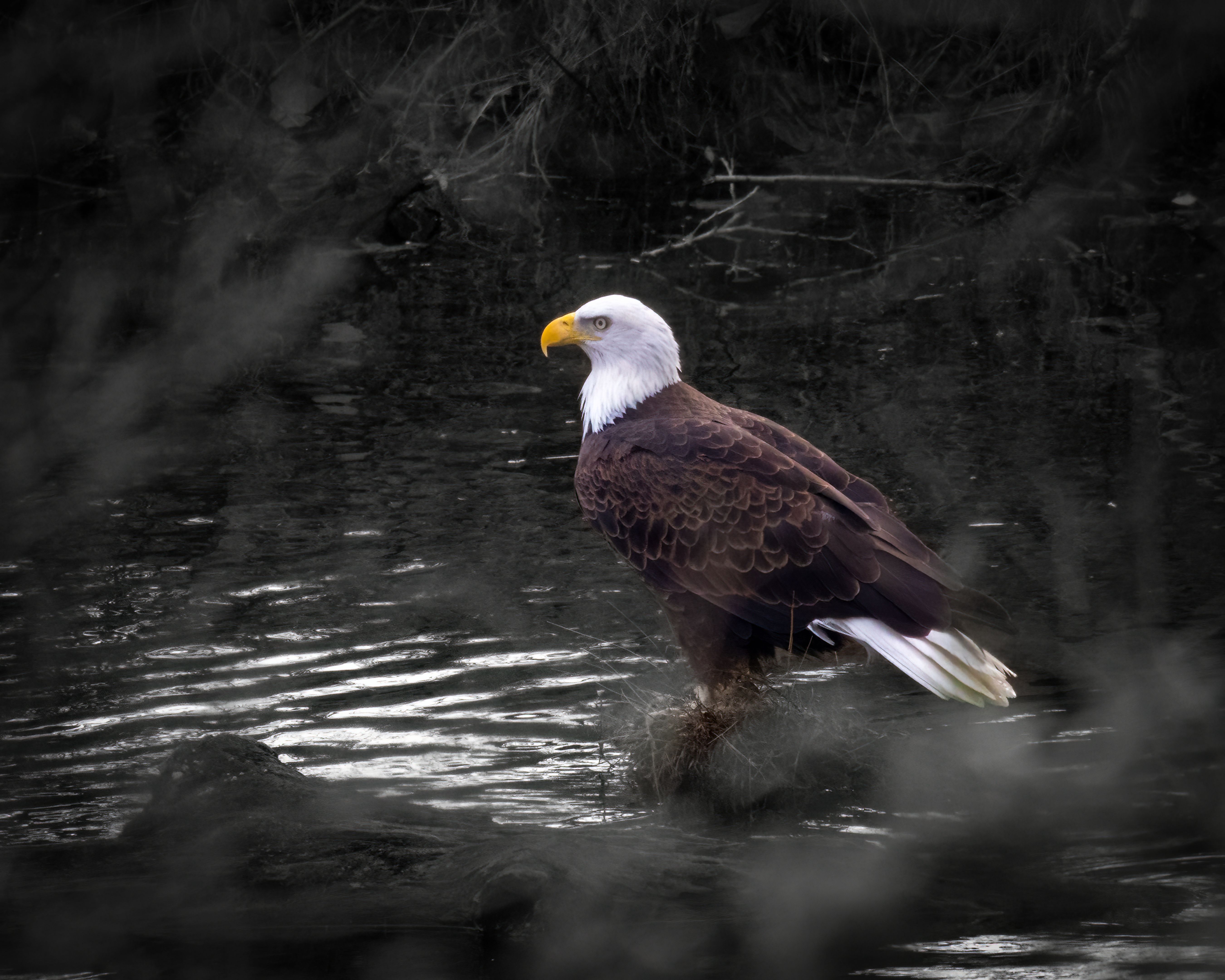 Why Choose Local Deck Installation Experts in Lake County